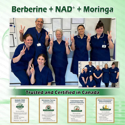 🧑‍⚕️🩺 Daily Wellness Support Patch – Moringa, Berberine & NAD+ Inspired Formula for Body Balance